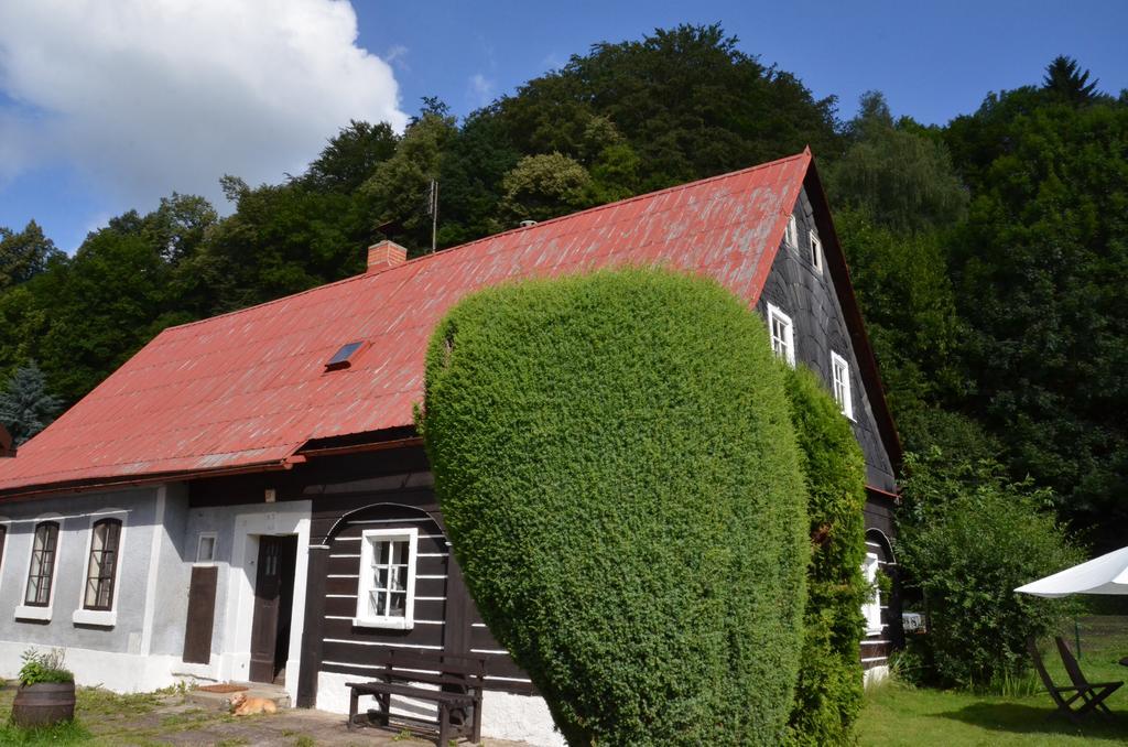 Penzion U Kozy Chřibská Bagian luar foto