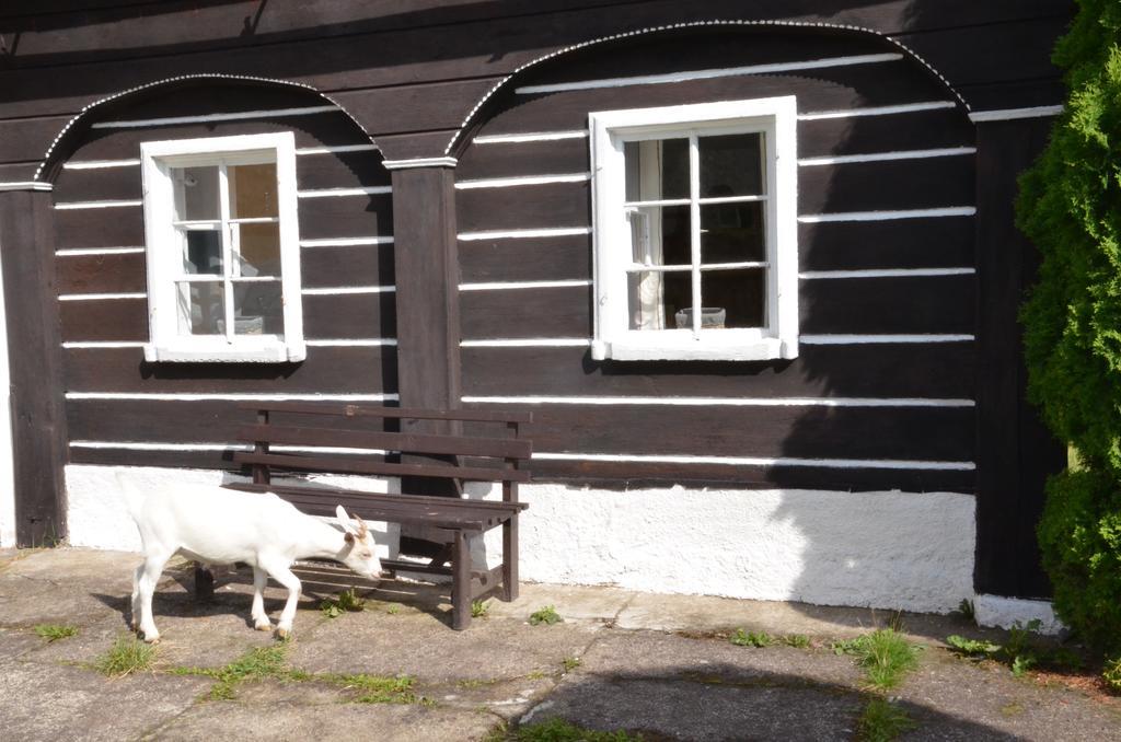 Penzion U Kozy Chřibská Bagian luar foto