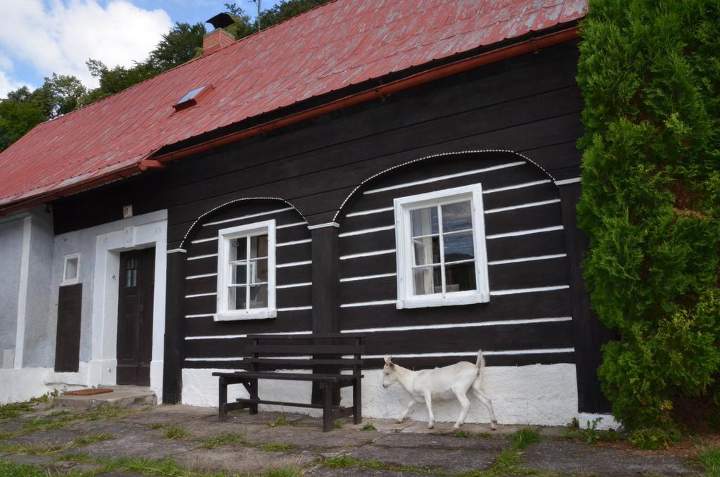 Penzion U Kozy Chřibská Bagian luar foto