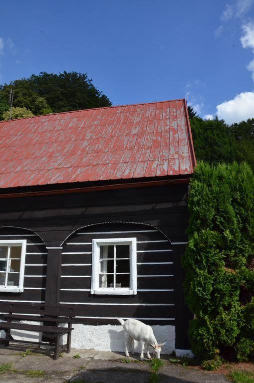 Penzion U Kozy Chřibská Bagian luar foto