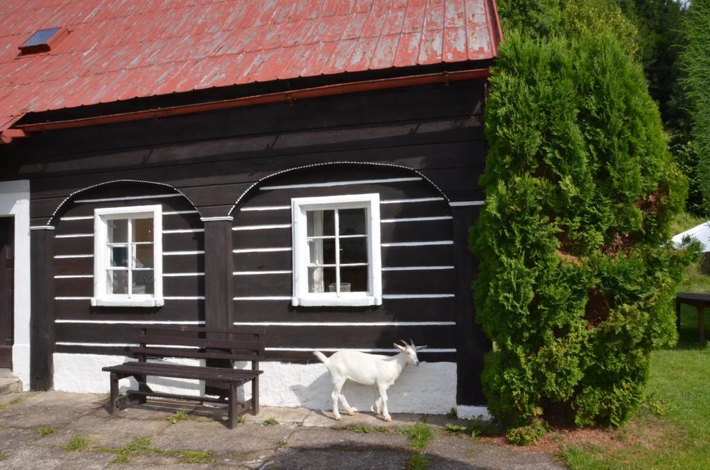 Penzion U Kozy Chřibská Bagian luar foto